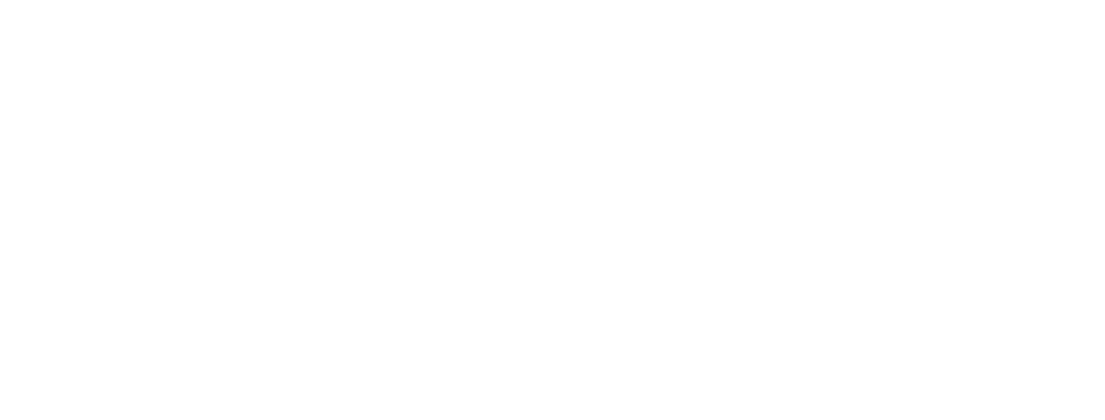 DNV3